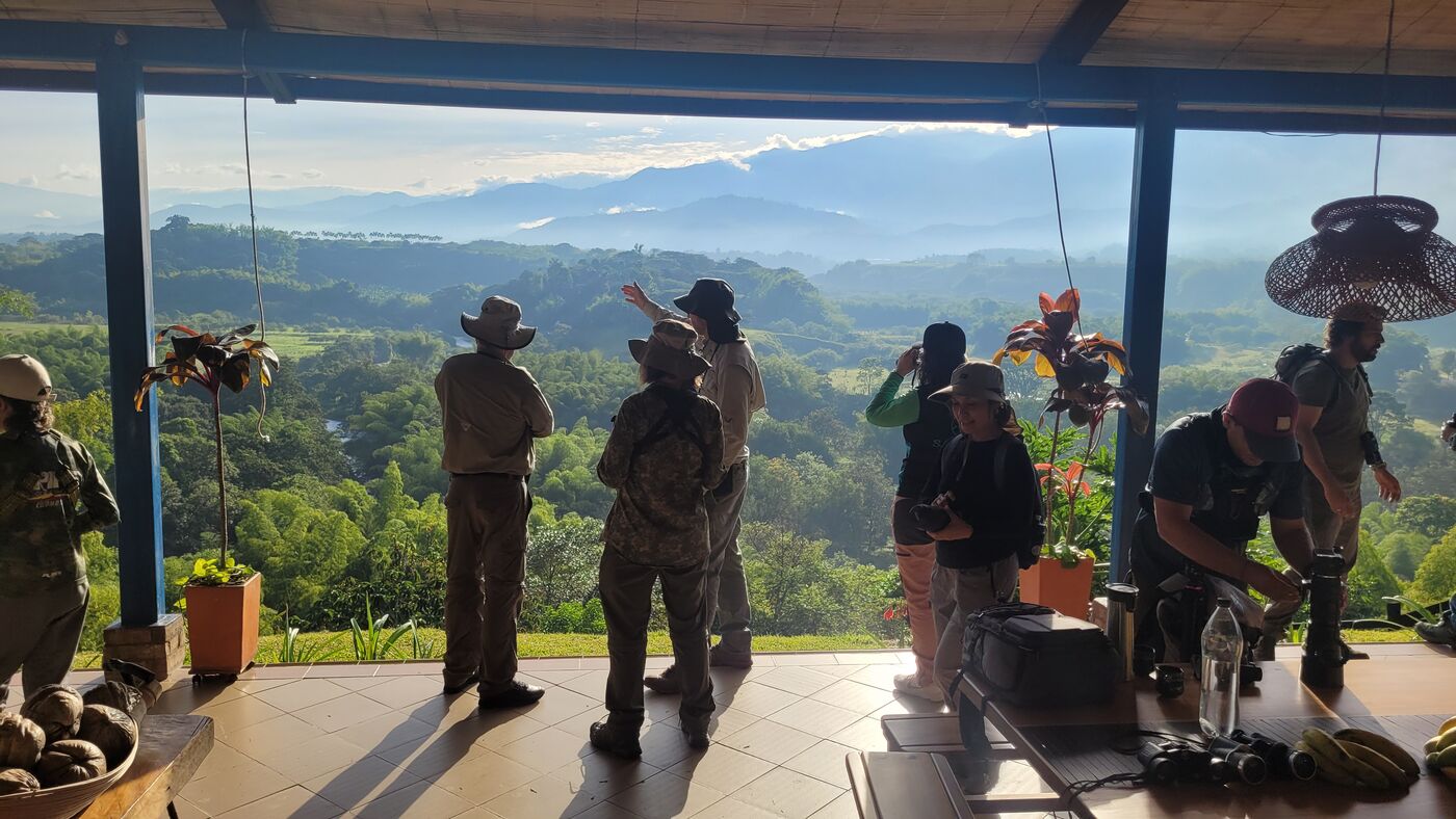 Observadores de aves en el mirador de la casa al amanecer