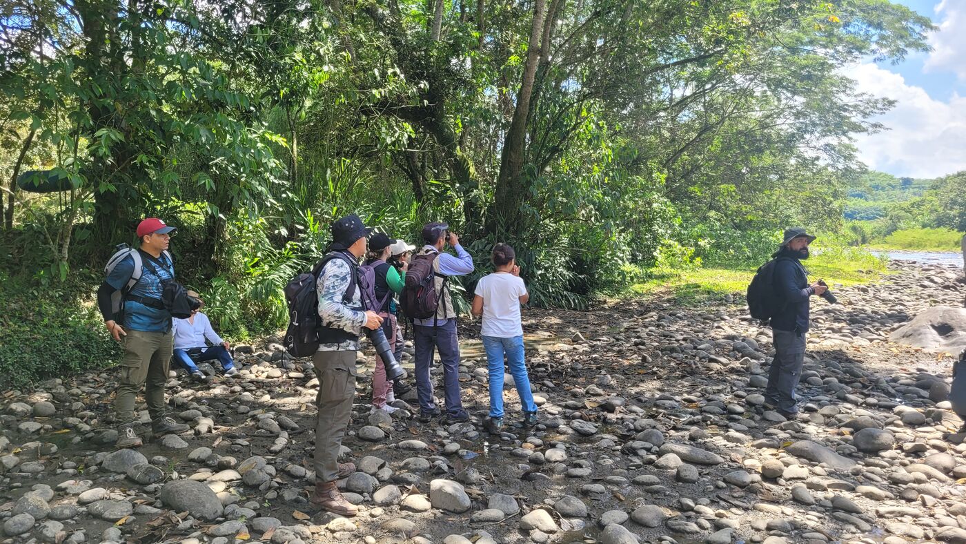 Grupo de observadores de aves a la orilla del río