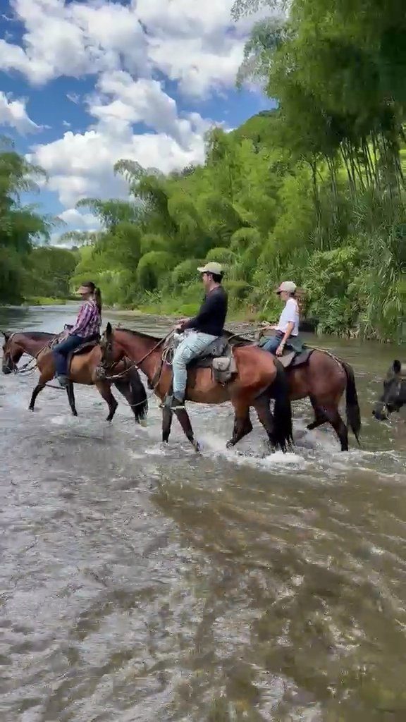 Cabalgata en La María